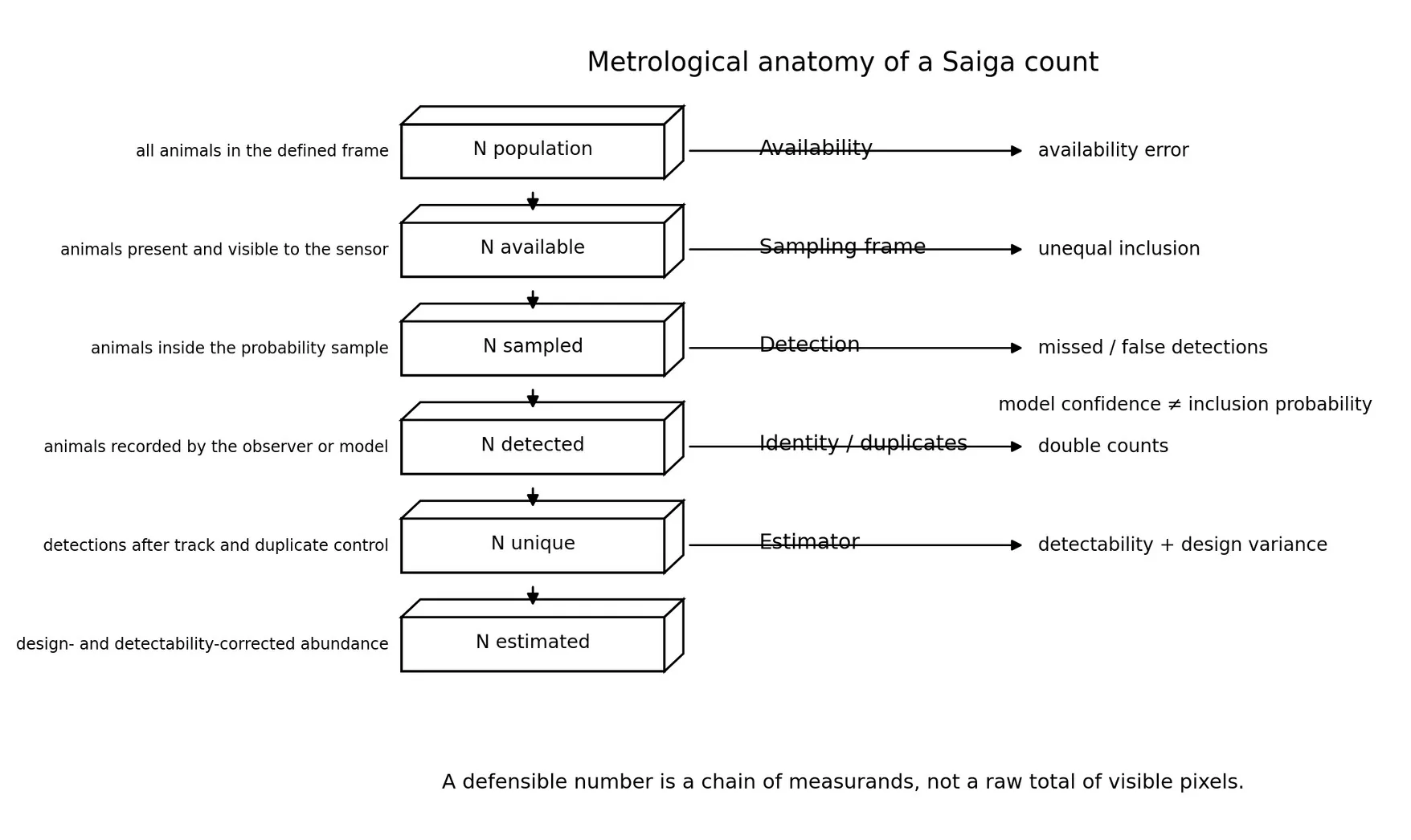 Metrological anatomy of a Saiga count.