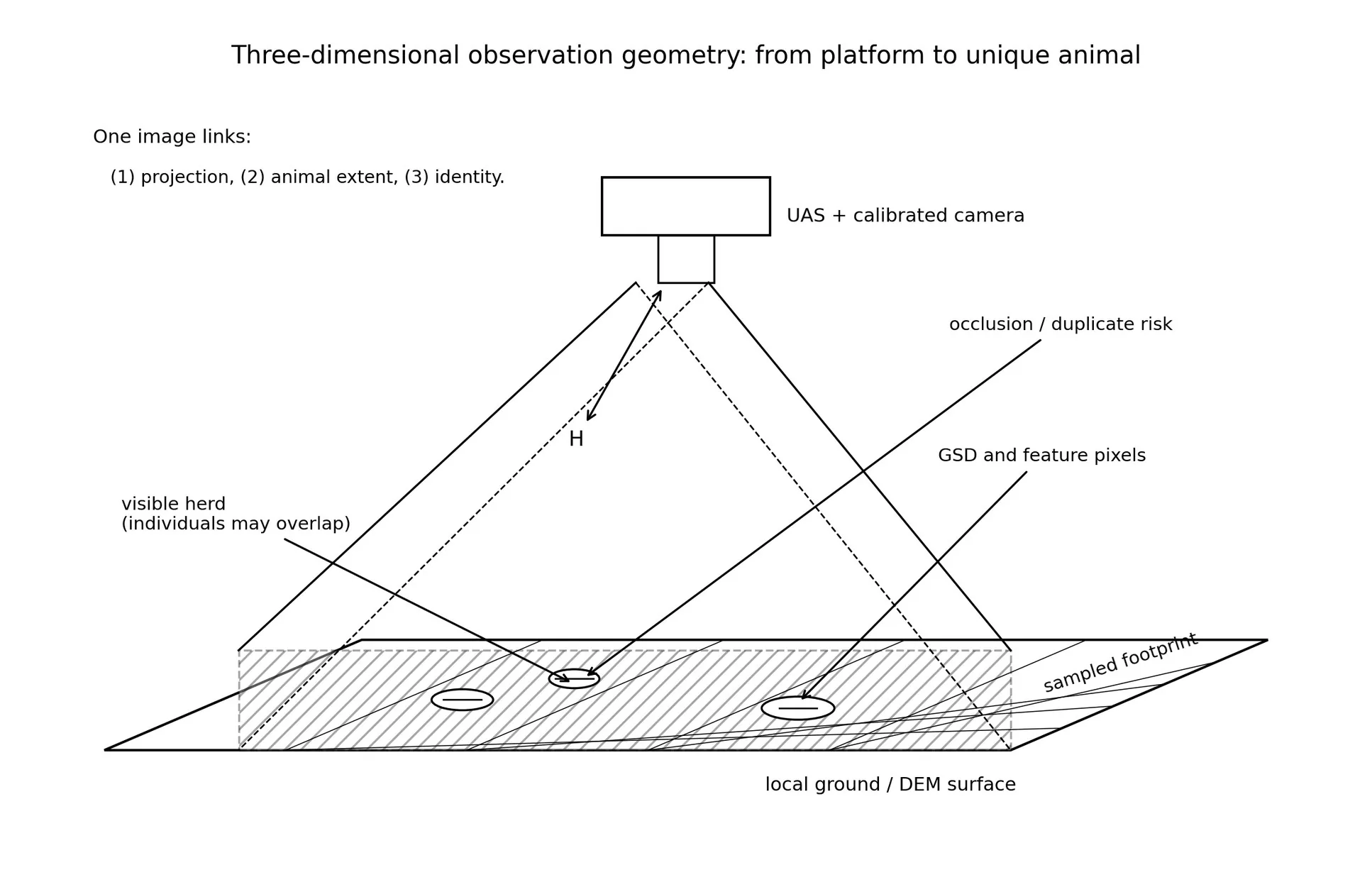 Three-dimensional observation geometry.