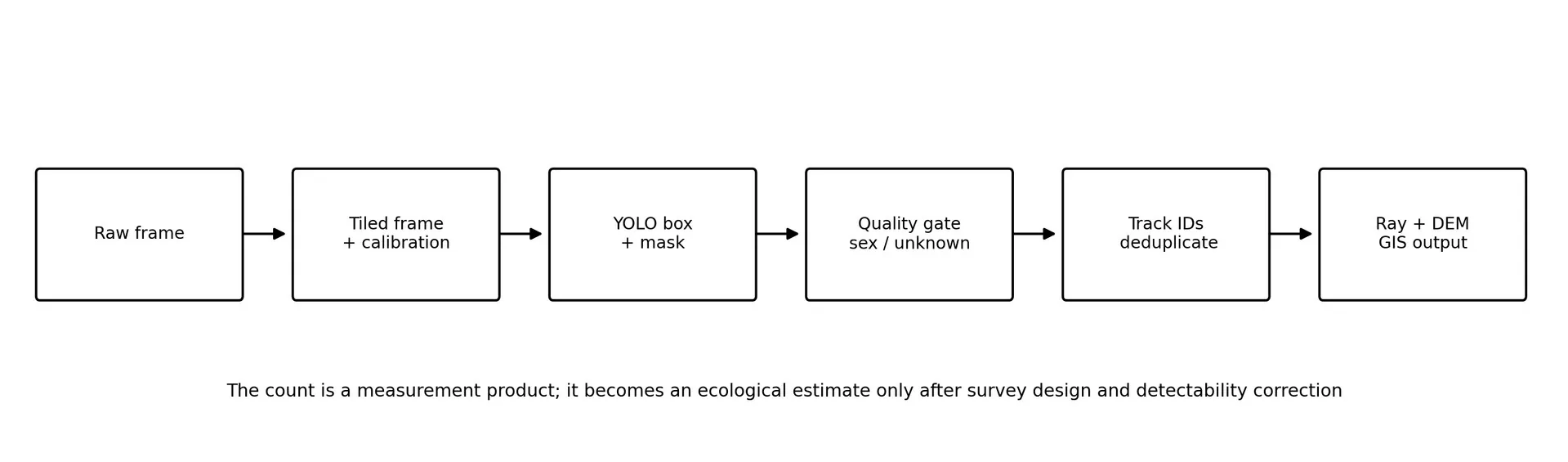 Operational pipeline from raw frame to geospatial output.